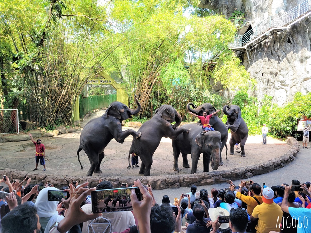 2026曼谷景點 賽福瑞野生動物園一日遊 Safari World 巴士接送、自助午餐吃到飽