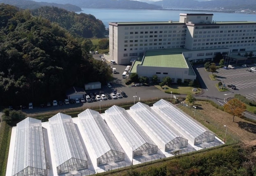2026天橋立住宿 美居京都宮津度假村及水療中心 一泊二食 洋式雙人房 伊根灣海景飯店