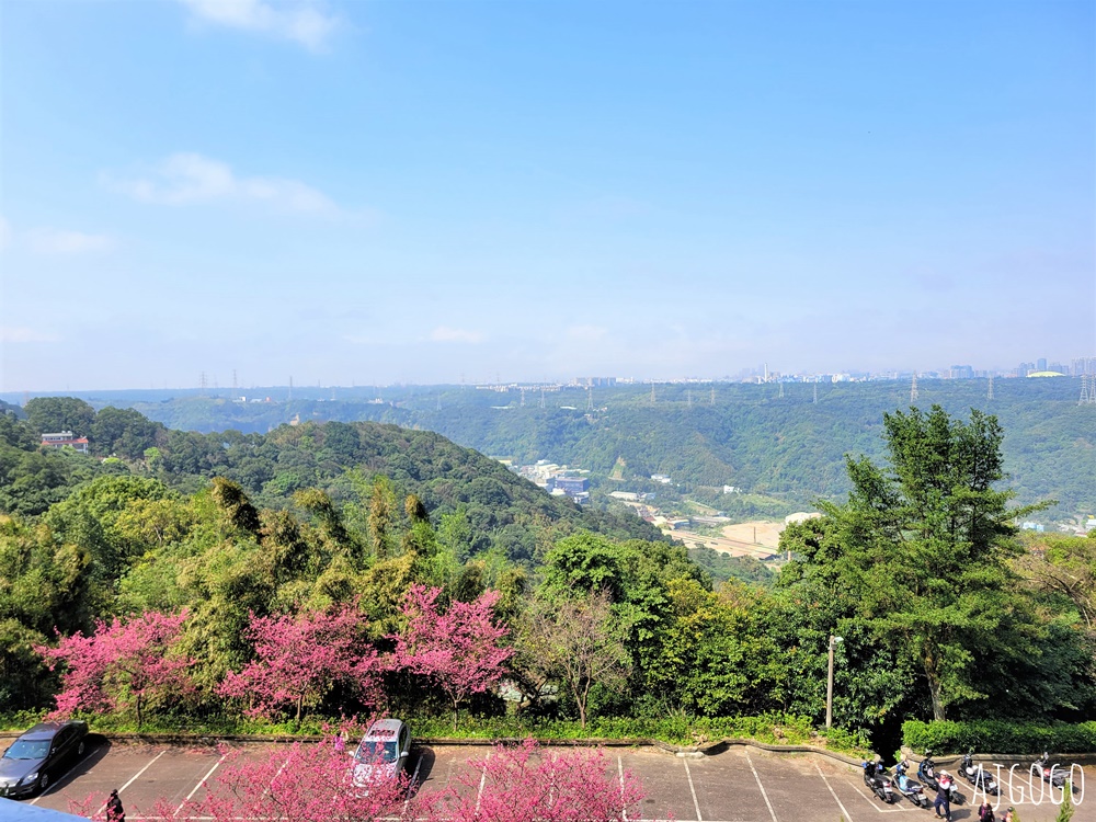桃園景點 龜山元德寶宮 桃園櫻花 八重櫻小徑 每年2月中盛開