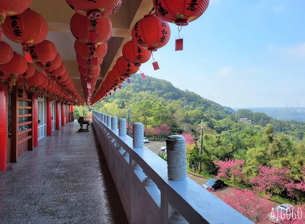 桃園景點 龜山元德寶宮 桃園櫻花 八重櫻小徑 每年2月中盛開