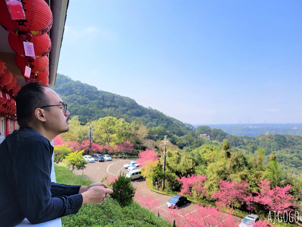 桃園景點 龜山元德寶宮 桃園櫻花 八重櫻小徑 每年2月中盛開