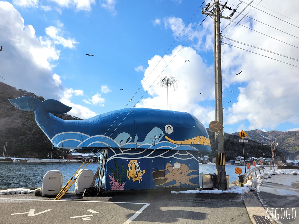 2026海之京都 伊根灣遊覽船 從海上遠眺百年舟屋群 與老鷹一起航行