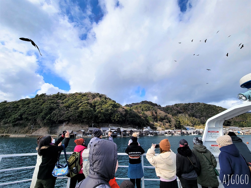 2026海之京都 伊根灣遊覽船 從海上遠眺百年舟屋群 與老鷹一起航行