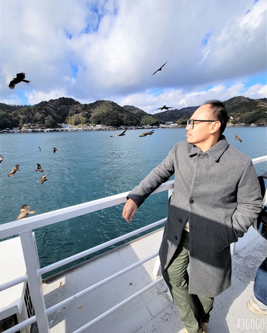 2026海之京都 伊根灣遊覽船 從海上遠眺百年舟屋群 與老鷹一起航行