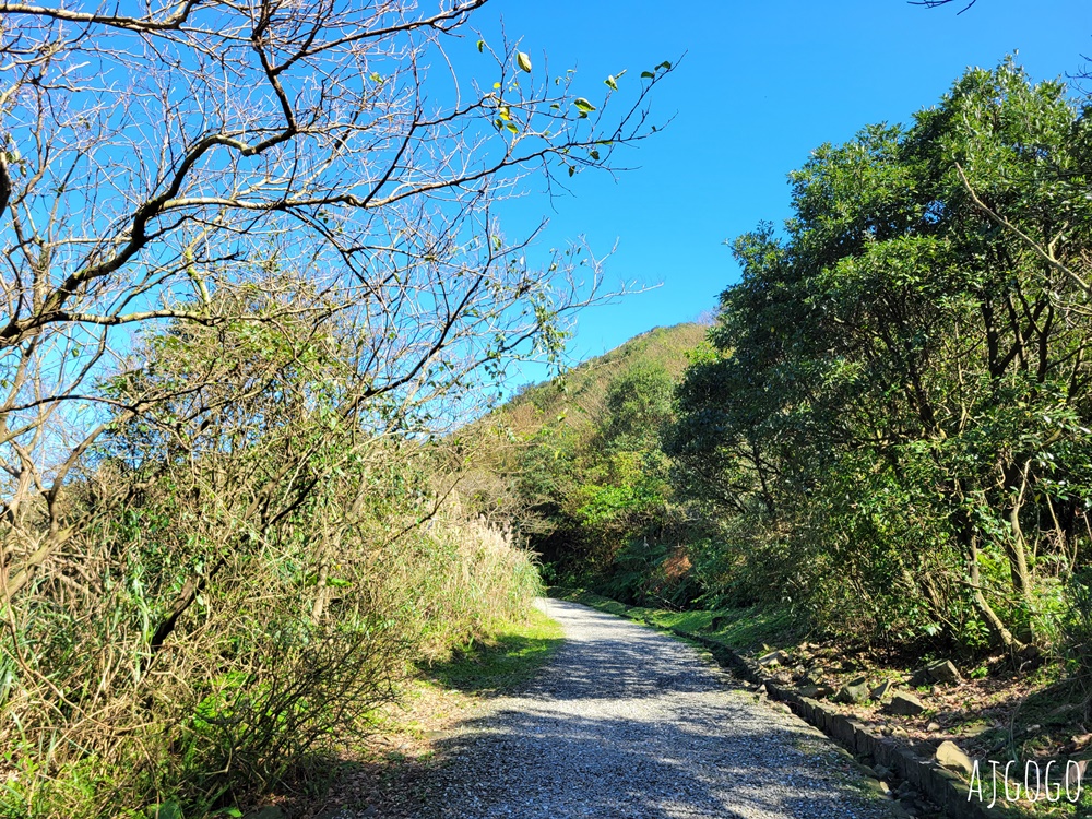 2026九份景點 金瓜石地質公園 絕美登山步道 山海景一次給你