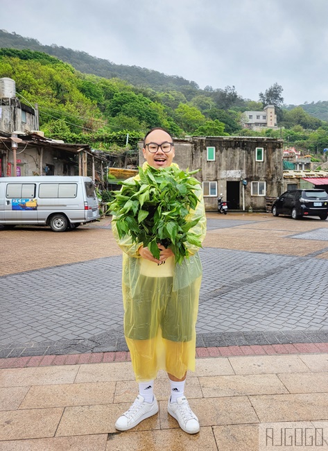 馬祖景點 馬祖梅花鹿 來大坵島跟梅花鹿交朋友 交通船班 馬祖旅遊推薦
