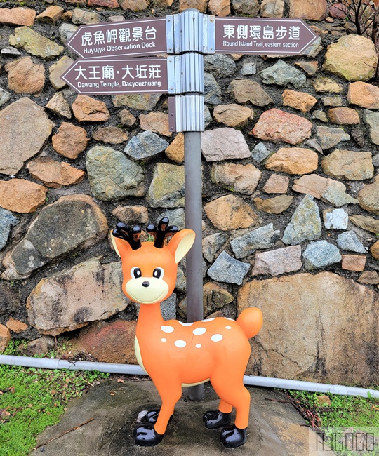 馬祖景點 馬祖梅花鹿 來大坵島跟梅花鹿交朋友 交通船班 馬祖旅遊推薦