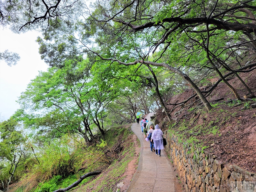 馬祖景點 馬祖梅花鹿 來大坵島跟梅花鹿交朋友 交通船班 馬祖旅遊推薦