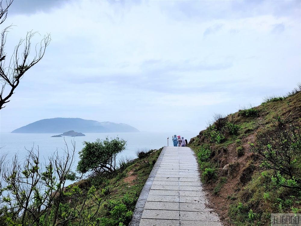 馬祖景點 馬祖梅花鹿 來大坵島跟梅花鹿交朋友 交通船班 馬祖旅遊推薦