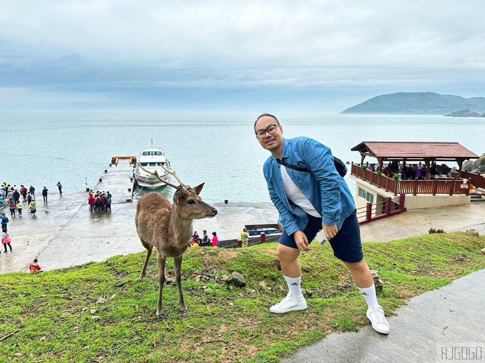 馬祖景點 馬祖梅花鹿 來大坵島跟梅花鹿交朋友 交通船班 馬祖旅遊推薦