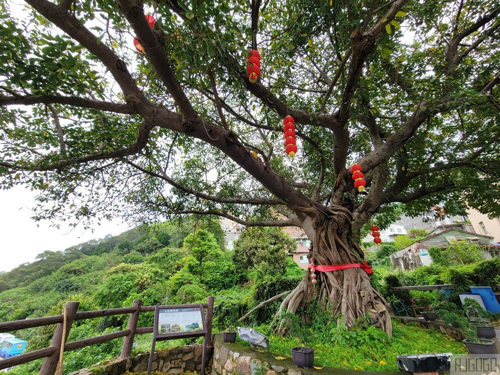 馬祖南竿美食 九榕閣 無菜單台菜料理 南竿福澳港觀景台