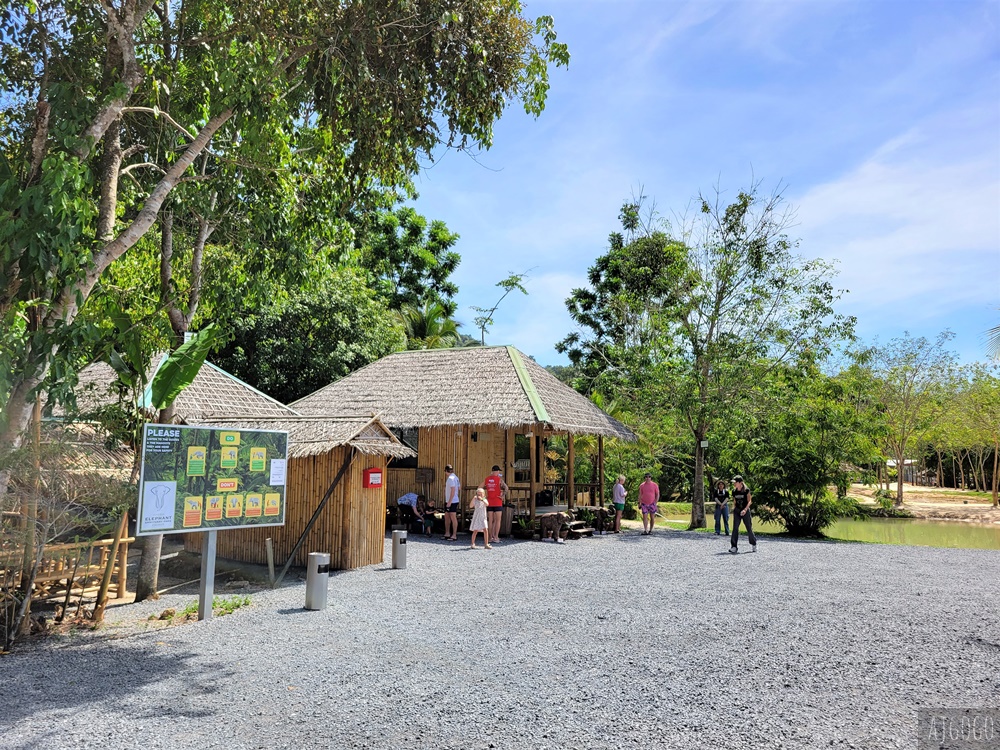 普吉島景點 綠色大象保護區公園 走進森林餵大象、幫大象洗澡 泰國旅遊推薦