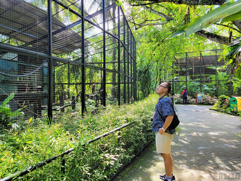2026馬來西亞旅遊 馬來西亞國家動物園 吉隆坡景點推薦