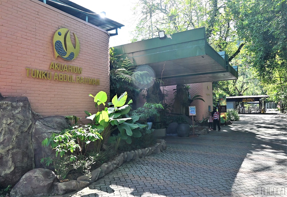 2026馬來西亞旅遊 馬來西亞國家動物園 吉隆坡景點推薦