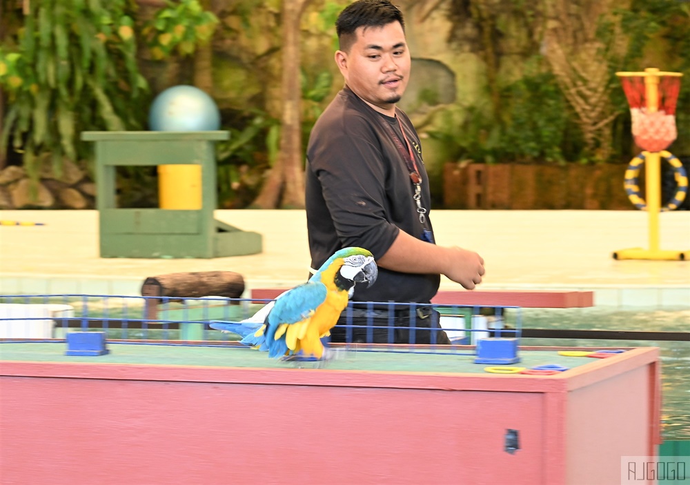 2026馬來西亞旅遊 馬來西亞國家動物園 吉隆坡景點推薦