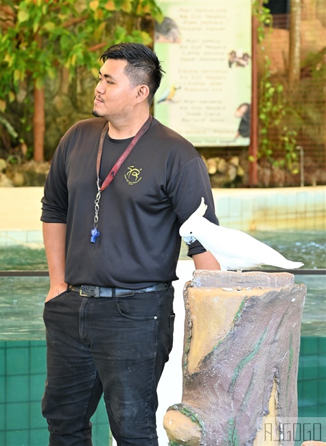 2026馬來西亞旅遊 馬來西亞國家動物園 吉隆坡景點推薦
