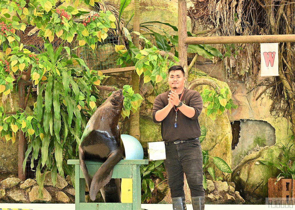 2026馬來西亞旅遊 馬來西亞國家動物園 吉隆坡景點推薦