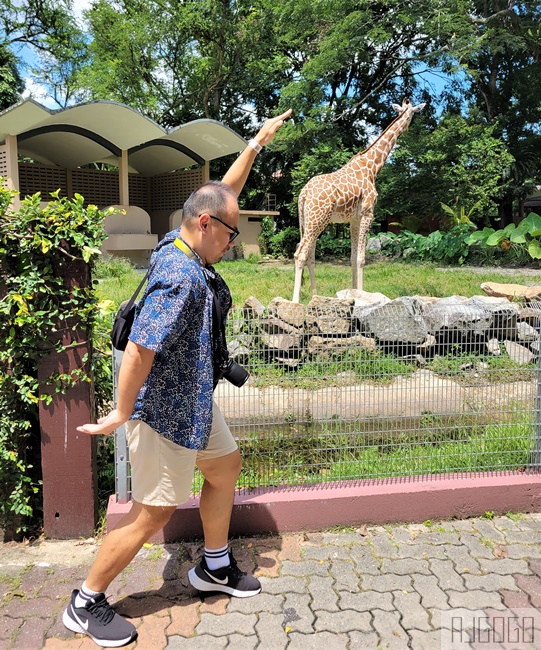 2026馬來西亞旅遊 馬來西亞國家動物園 吉隆坡景點推薦