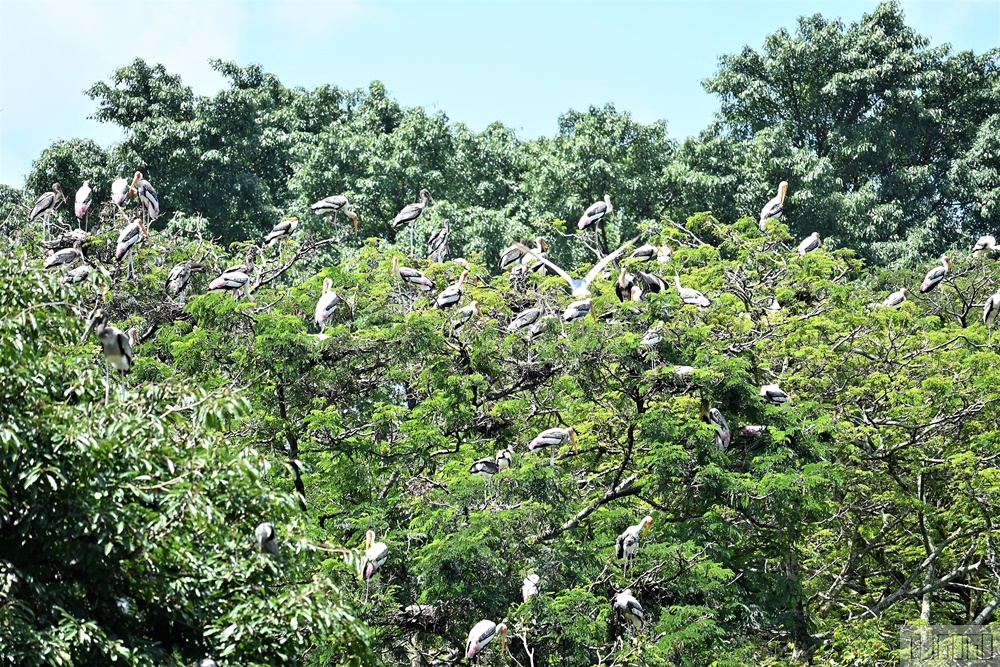 2026馬來西亞旅遊 馬來西亞國家動物園 吉隆坡景點推薦