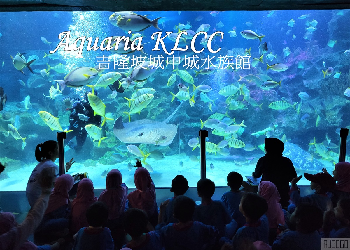 2026吉隆坡景點 馬來西亞城中城水族館 吉隆坡水族館 馬來西亞旅遊