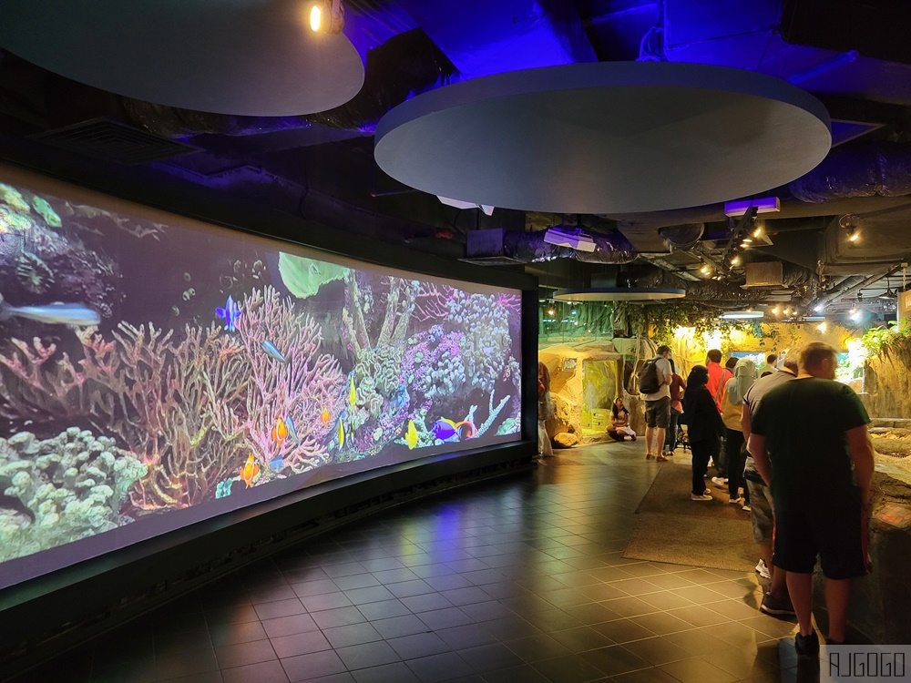 2026吉隆坡景點 馬來西亞城中城水族館 吉隆坡水族館 馬來西亞旅遊
