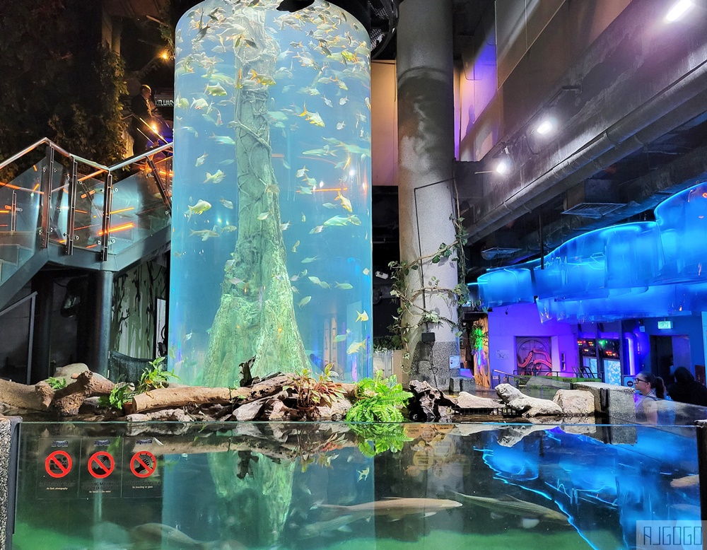 2026吉隆坡景點 馬來西亞城中城水族館 吉隆坡水族館 馬來西亞旅遊