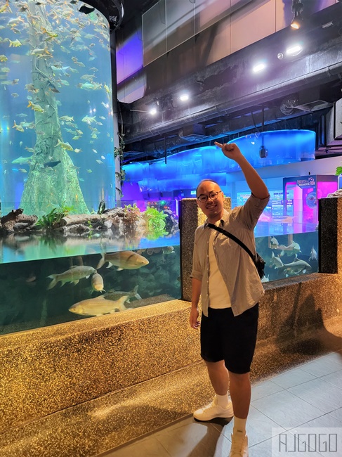 2026吉隆坡景點 馬來西亞城中城水族館 吉隆坡水族館 馬來西亞旅遊