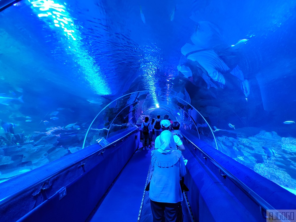 2026吉隆坡景點 馬來西亞城中城水族館 吉隆坡水族館 馬來西亞旅遊
