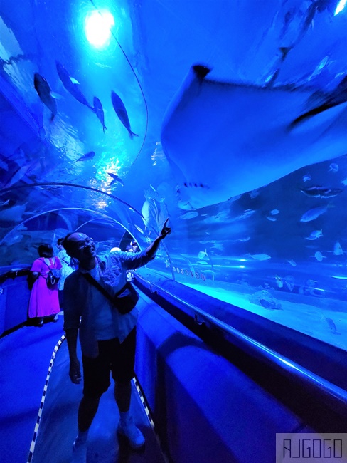 2026吉隆坡景點 馬來西亞城中城水族館 吉隆坡水族館 馬來西亞旅遊