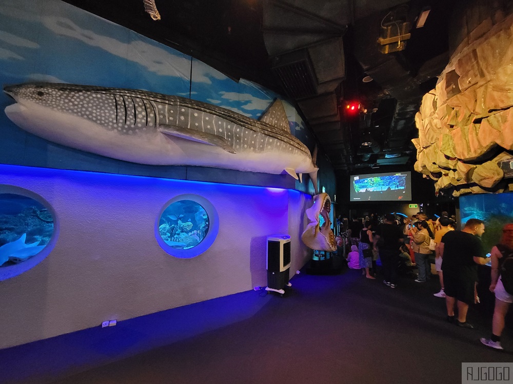 2026吉隆坡景點 馬來西亞城中城水族館 吉隆坡水族館 馬來西亞旅遊