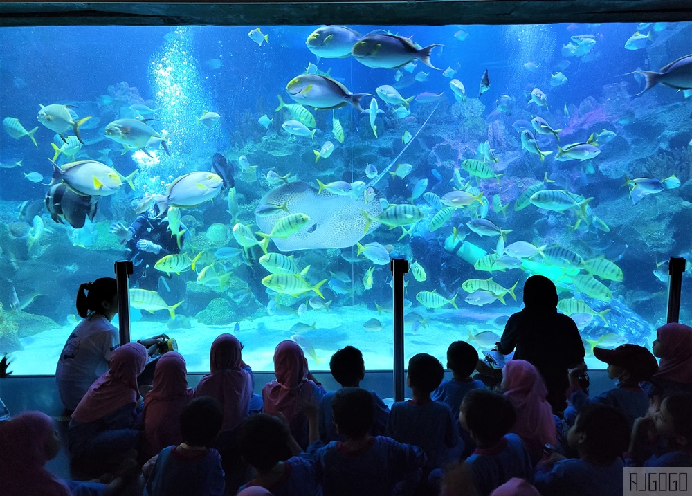 2026吉隆坡景點 馬來西亞城中城水族館 吉隆坡水族館 馬來西亞旅遊