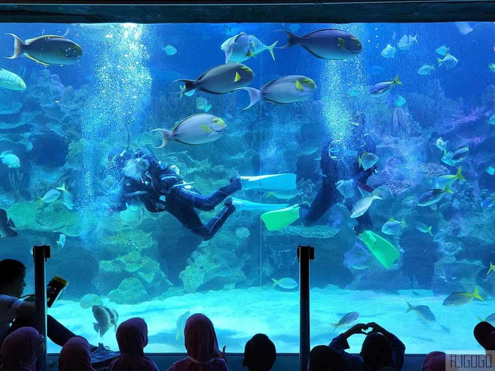 2026吉隆坡景點 馬來西亞城中城水族館 吉隆坡水族館 馬來西亞旅遊