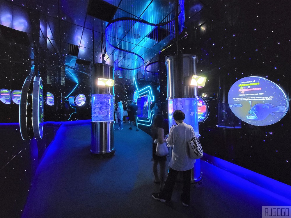 2026吉隆坡景點 馬來西亞城中城水族館 吉隆坡水族館 馬來西亞旅遊