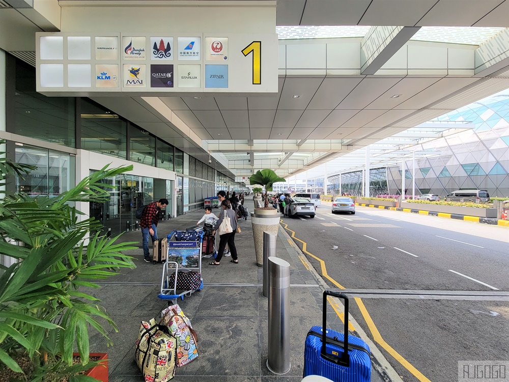 星宇航空 新加坡-桃園 A350經濟艙飛機餐 開箱JX772 新加坡自由行推薦