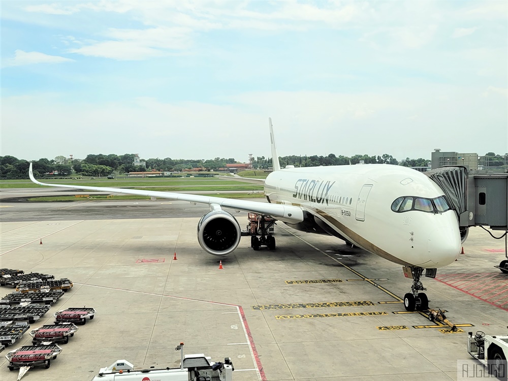 星宇航空 新加坡-桃園 A350經濟艙飛機餐 開箱JX772 新加坡自由行推薦