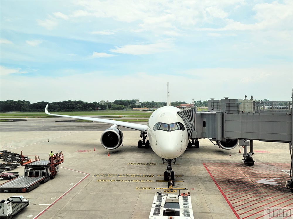 星宇航空 新加坡-桃園 A350經濟艙飛機餐 開箱JX772 新加坡自由行推薦