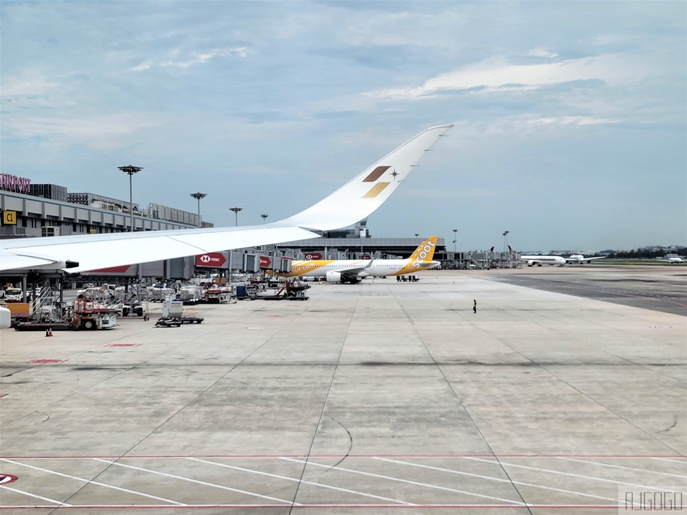 星宇航空 新加坡-桃園 A350經濟艙飛機餐 開箱JX772 新加坡自由行推薦