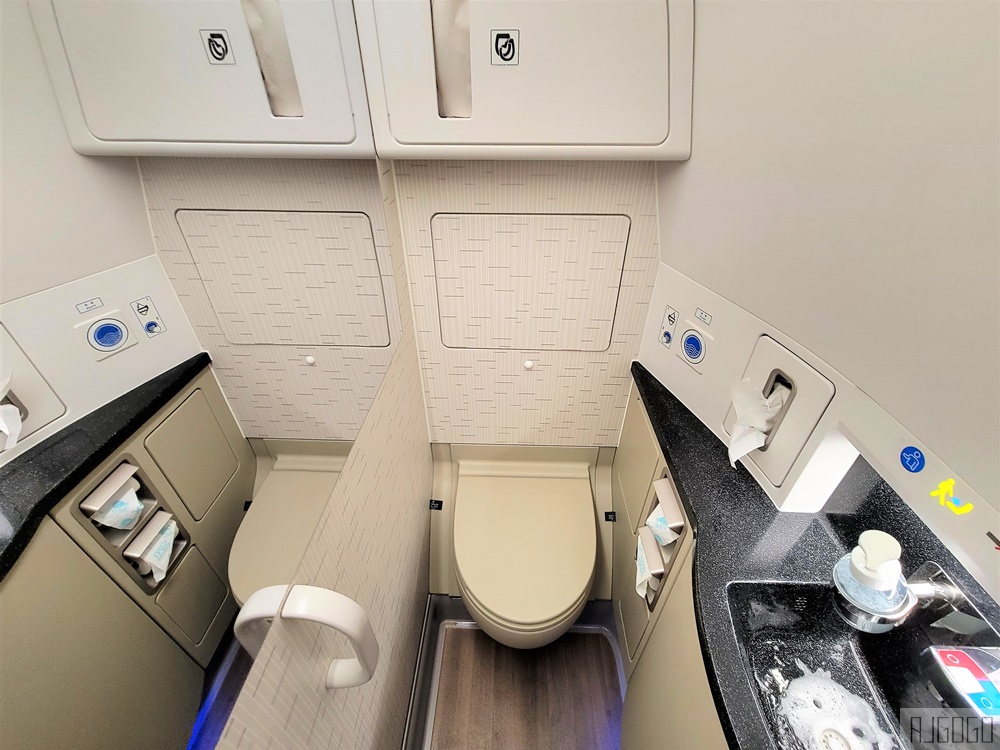 星宇航空 新加坡-桃園 A350經濟艙飛機餐 開箱JX772 新加坡自由行推薦