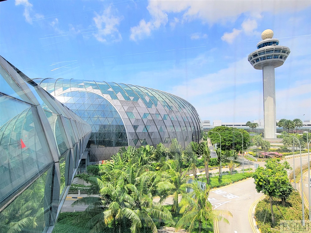 2026新加坡旅遊 星耀樟宜Jewel 新加坡樟宜機場的未來自然系購物中心 新加坡景點