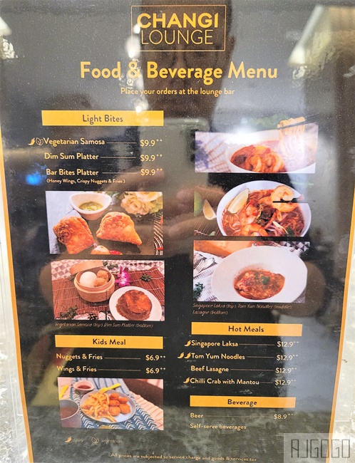 新加坡星耀樟宜機場貴賓室 公共區域 Changi Lounge 星耀樟宜 抵達貴賓室 新加坡旅遊