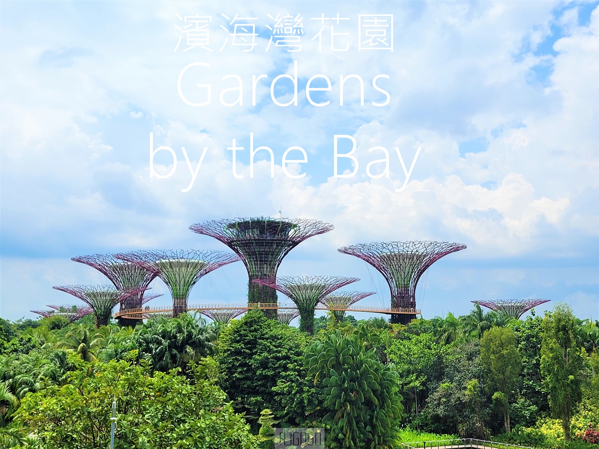 2026新加坡景點 濱海灣花園 花穹、雲霧林、超級樹、奇幻花園 新加坡旅遊