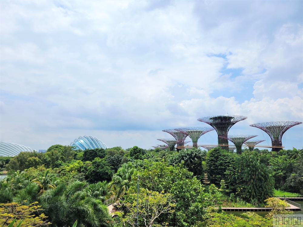 2026新加坡景點 濱海灣花園 花穹、雲霧林、超級樹、奇幻花園 新加坡旅遊