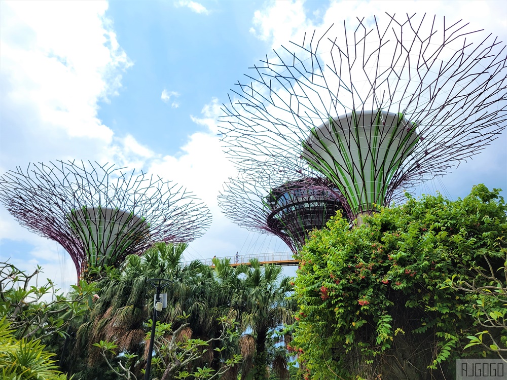 2026新加坡景點 濱海灣花園 花穹、雲霧林、超級樹、奇幻花園 新加坡旅遊