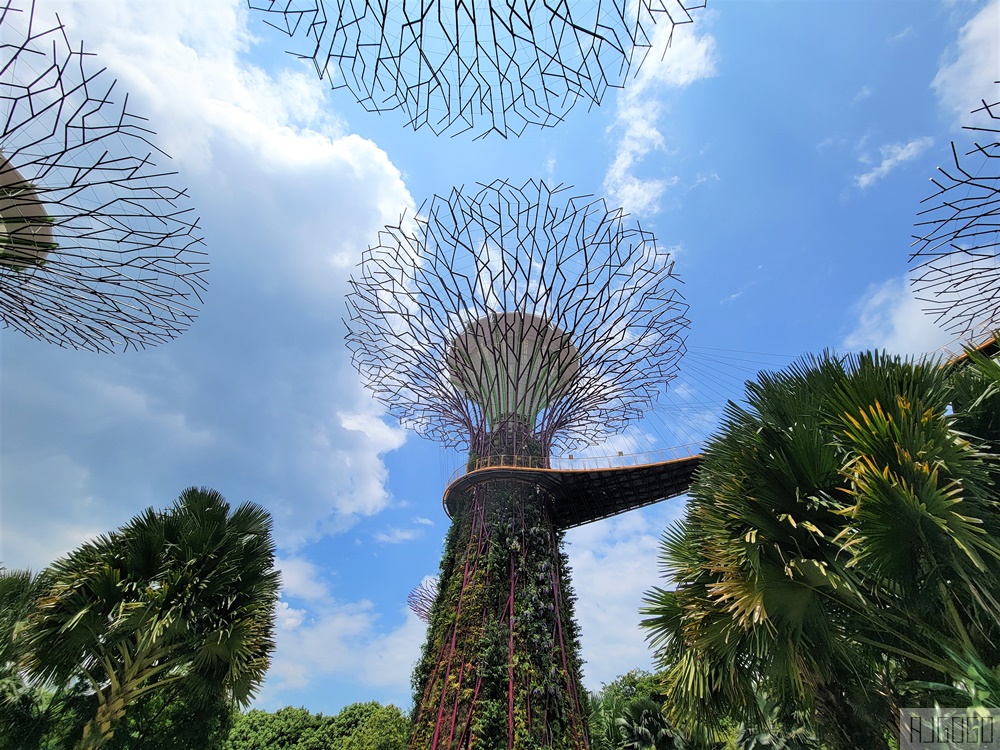 2026新加坡景點 濱海灣花園 花穹、雲霧林、超級樹、奇幻花園 新加坡旅遊