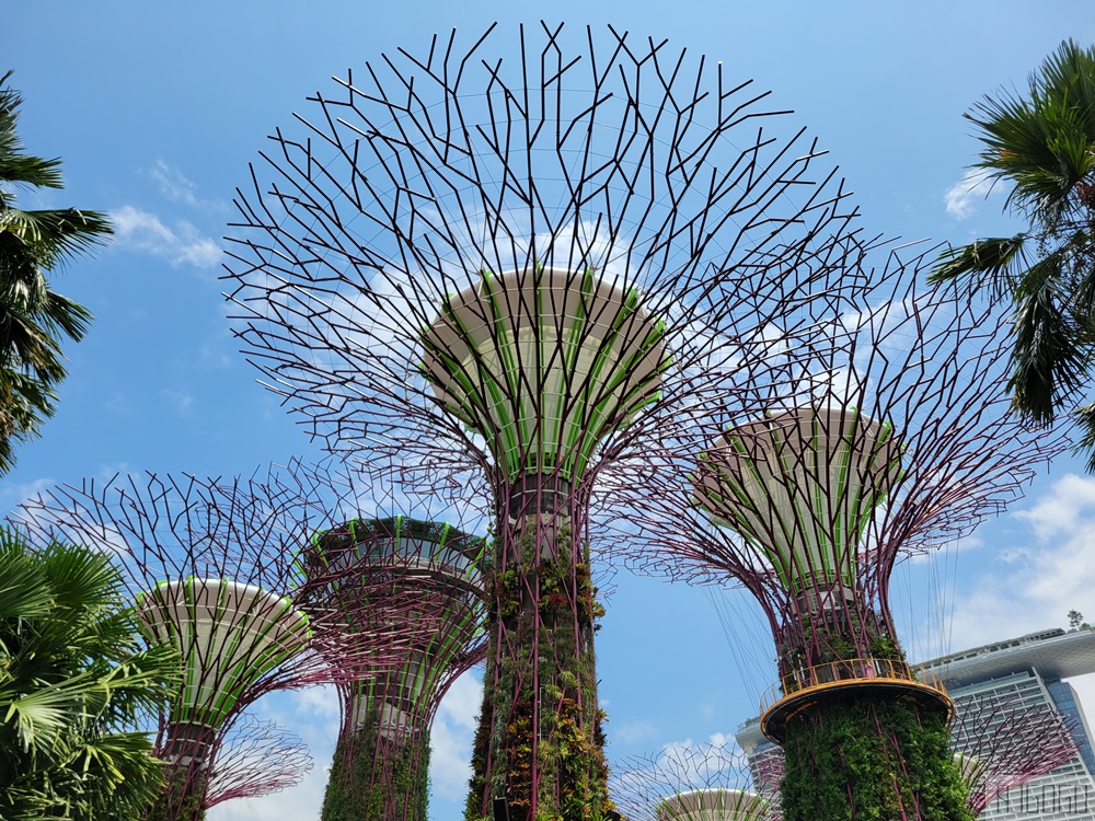2026新加坡景點 濱海灣花園 花穹、雲霧林、超級樹、奇幻花園 新加坡旅遊
