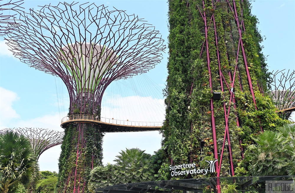 2026新加坡景點 濱海灣花園 花穹、雲霧林、超級樹、奇幻花園 新加坡旅遊
