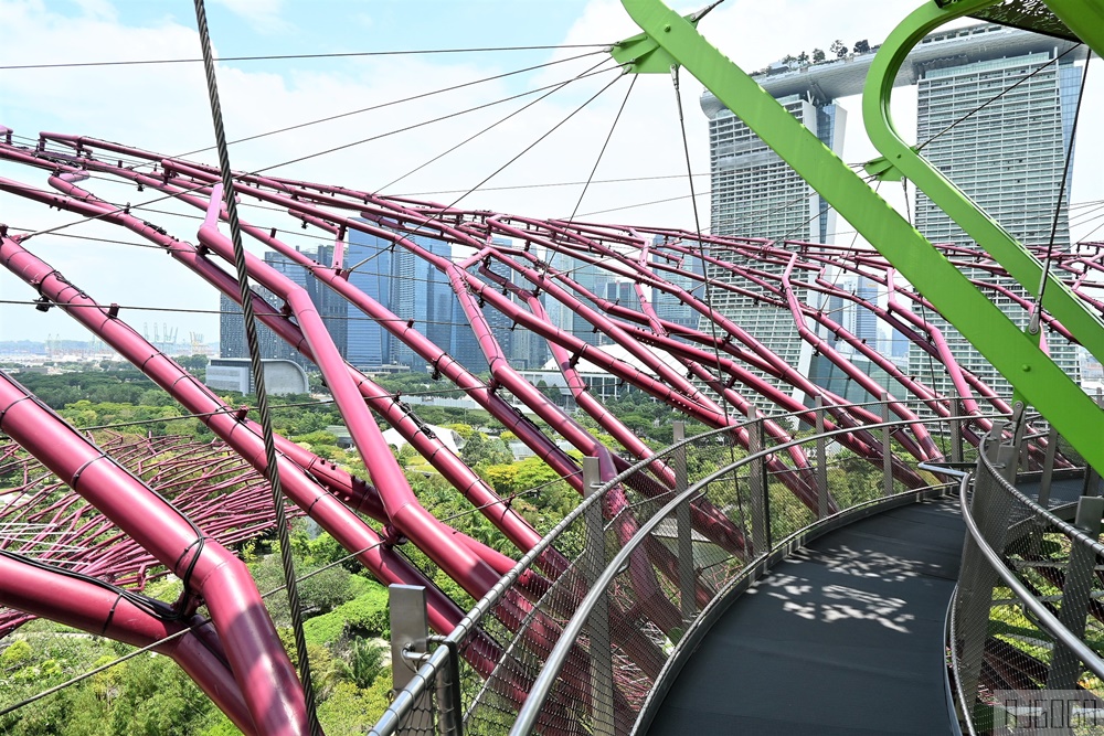 2026新加坡景點 濱海灣花園 花穹、雲霧林、超級樹、奇幻花園 新加坡旅遊