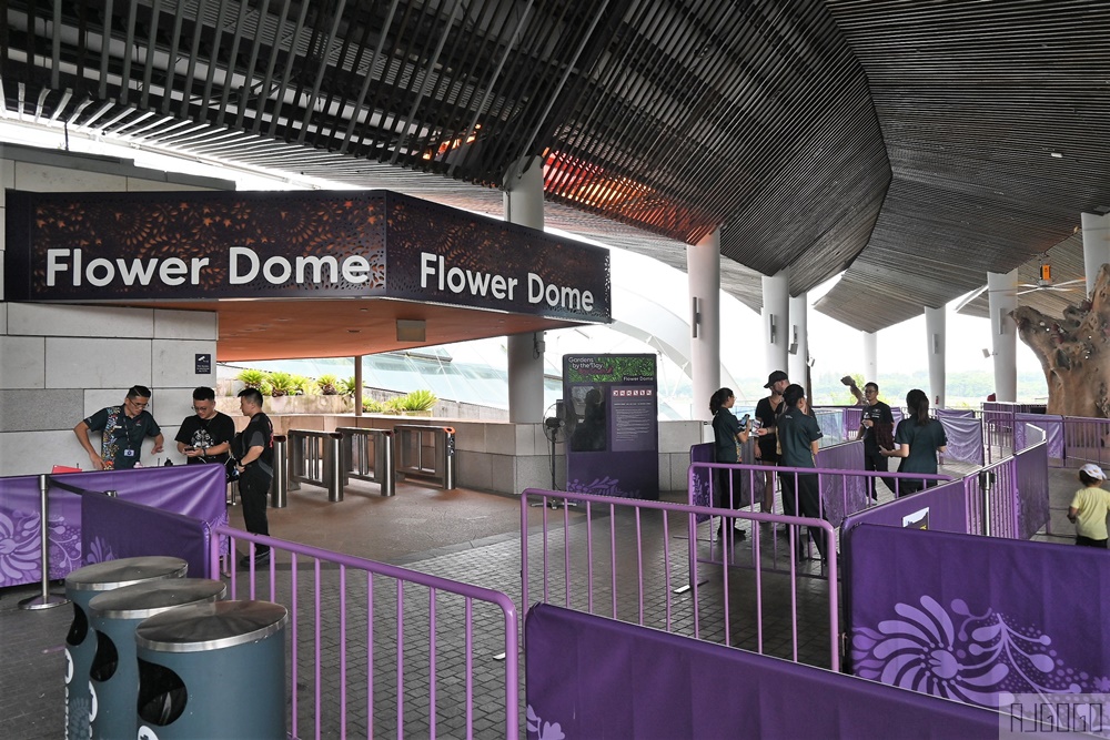 2026新加坡景點 濱海灣花園 花穹、雲霧林、超級樹、奇幻花園 新加坡旅遊