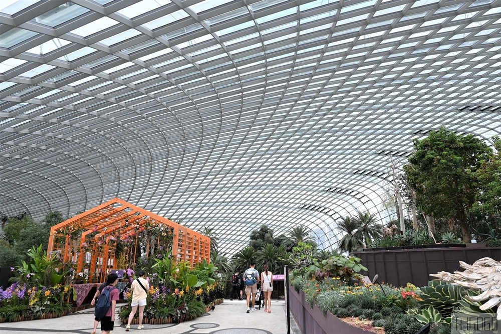2026新加坡景點 濱海灣花園 花穹、雲霧林、超級樹、奇幻花園 新加坡旅遊