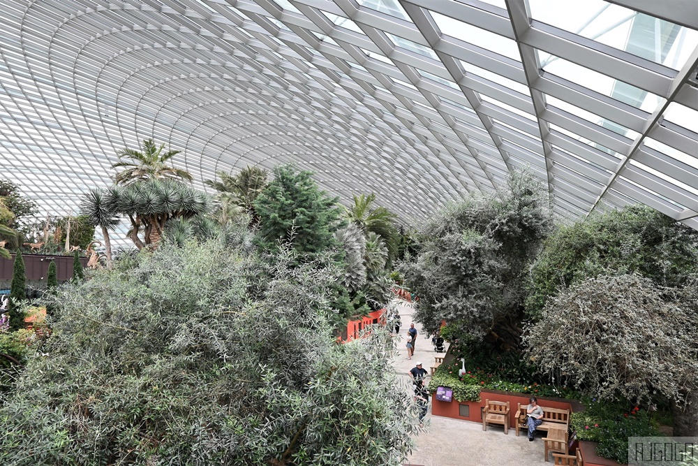 2026新加坡景點 濱海灣花園 花穹、雲霧林、超級樹、奇幻花園 新加坡旅遊